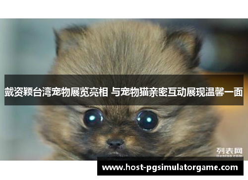 戴资颖台湾宠物展览亮相 与宠物猫亲密互动展现温馨一面