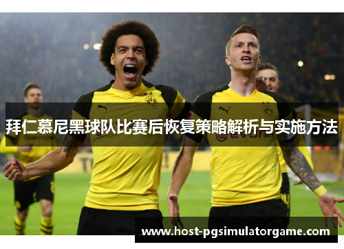 拜仁慕尼黑球队比赛后恢复策略解析与实施方法