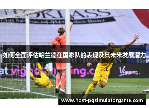 如何全面评估哈兰德在国家队的表现及其未来发展潜力