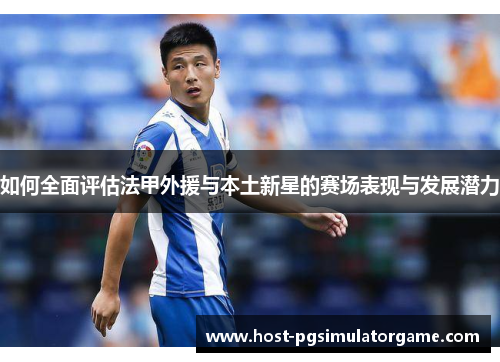 如何全面评估法甲外援与本土新星的赛场表现与发展潜力