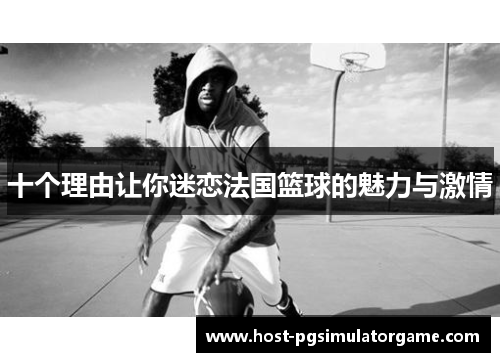 十个理由让你迷恋法国篮球的魅力与激情