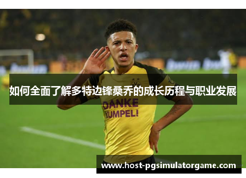 如何全面了解多特边锋桑乔的成长历程与职业发展