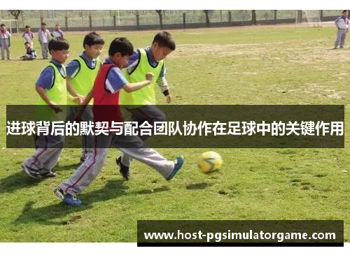 进球背后的默契与配合团队协作在足球中的关键作用
