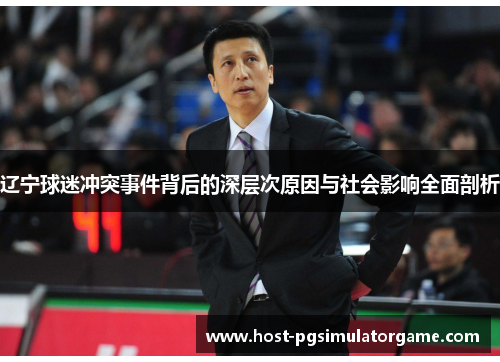 辽宁球迷冲突事件背后的深层次原因与社会影响全面剖析