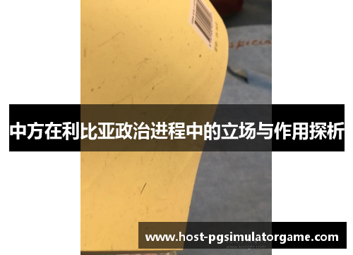 中方在利比亚政治进程中的立场与作用探析