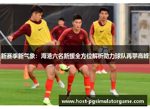 新赛季新气象：海港六名新援全方位解析助力球队再攀高峰