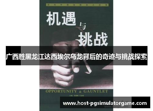 广西胜黑龙江达西埃尔乌龙背后的奇迹与挑战探索