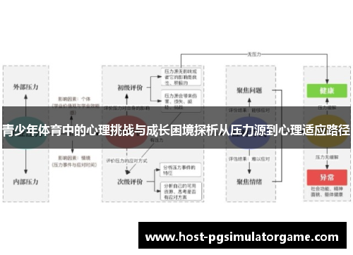 青少年体育中的心理挑战与成长困境探析从压力源到心理适应路径