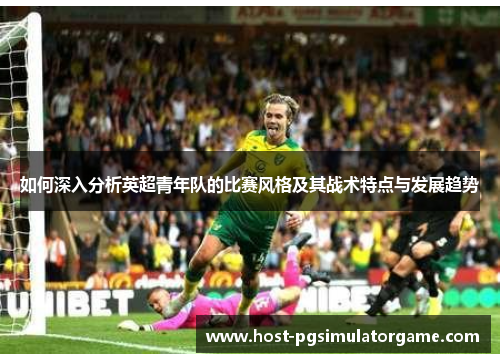 如何深入分析英超青年队的比赛风格及其战术特点与发展趋势