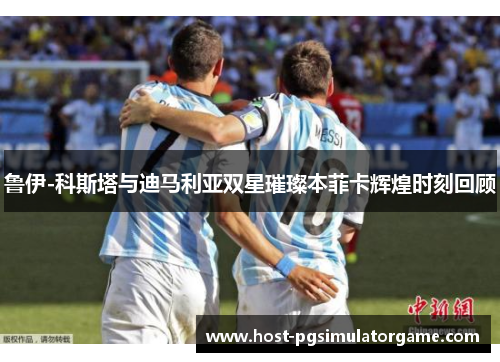 鲁伊-科斯塔与迪马利亚双星璀璨本菲卡辉煌时刻回顾