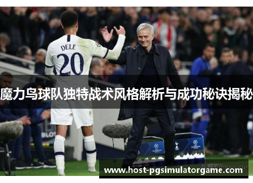 魔力鸟球队独特战术风格解析与成功秘诀揭秘