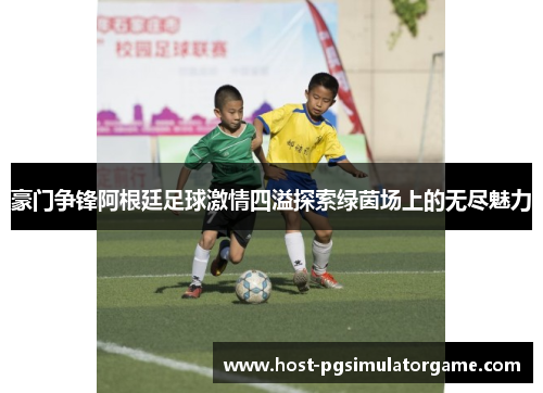 豪门争锋阿根廷足球激情四溢探索绿茵场上的无尽魅力